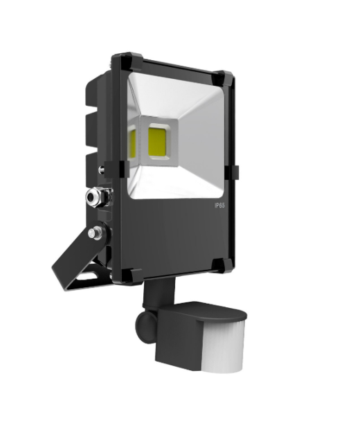 Outdoor 30W LED PIR Flood Light with Motion Sensor