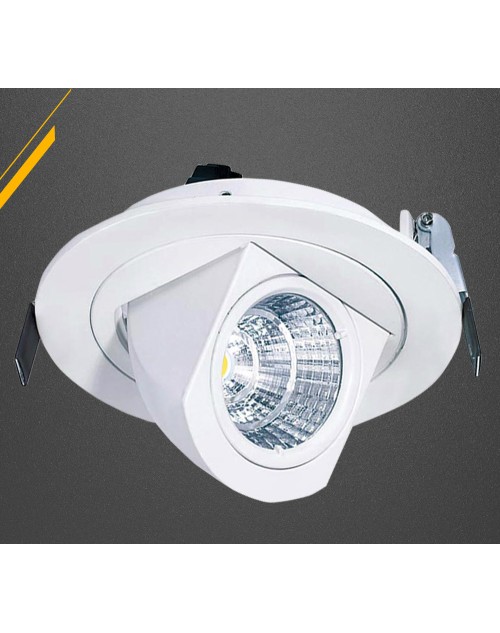 Aluminum Alloy Die Casting COB 10W LED Spot Light with SAA CE Approved