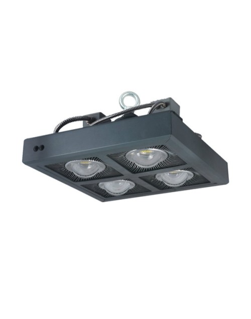 Golden supplier 5 years 240w high lumen ip65 led industrial light